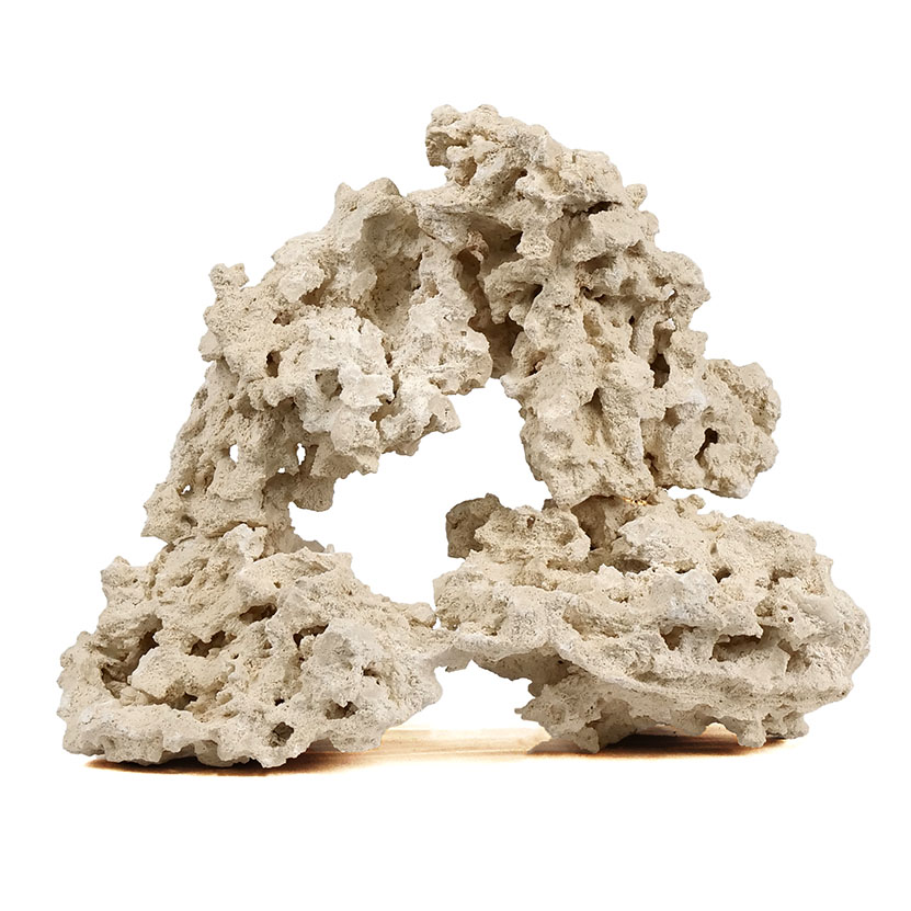 楽天市場】マルコロック リーフセーバー エッジ（Edge） Sサイズ