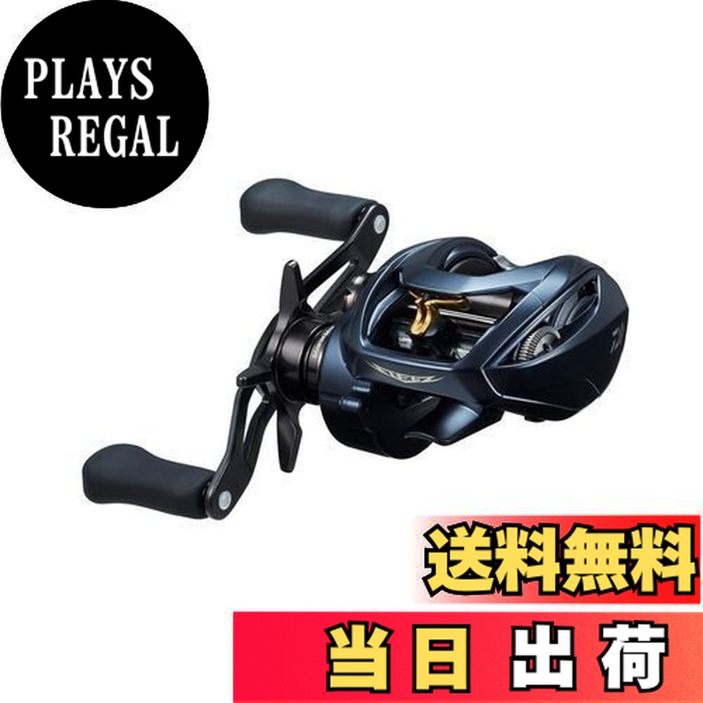 ダイワ スティーズ A II TW 1000H (リール) 価格比較 - 価格.com