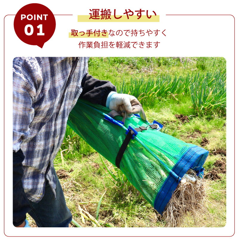 楽天市場】【3/31までエントリーで最大100%Pバック】1枚 ネギマキ