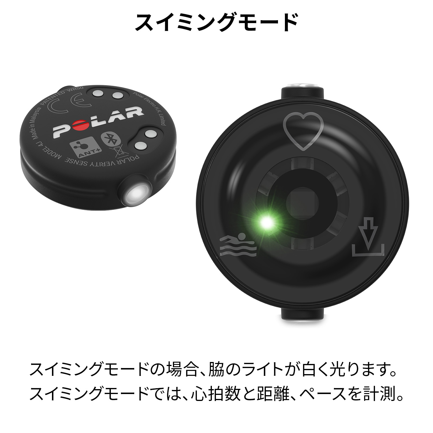 楽天市場】【ポラール公式ストア】Polar Verity Sense 光学式 腕 心拍