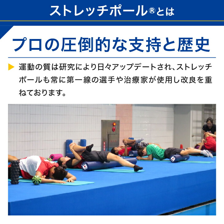 楽天市場】LPN ストレッチポールEX(イエロー)スタートBOOK