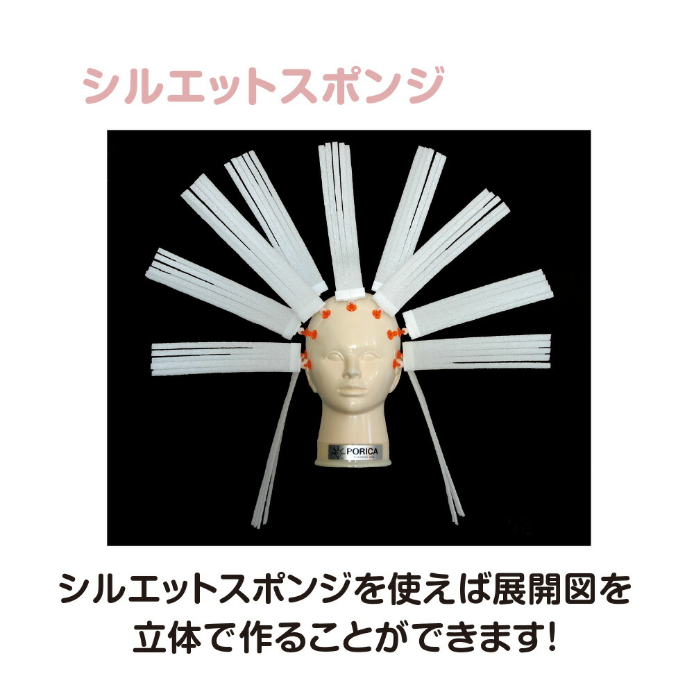 楽天市場】ポリカトレーニングウィッグセット 美容教育 美容師 道具