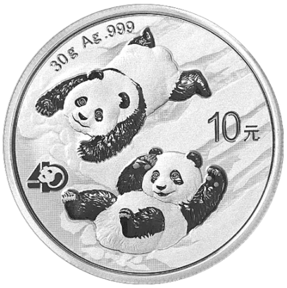 1989年 中国 パンダ銀貨 10元 b1108 1989年 中国 パンダ銀貨 10元 b1108