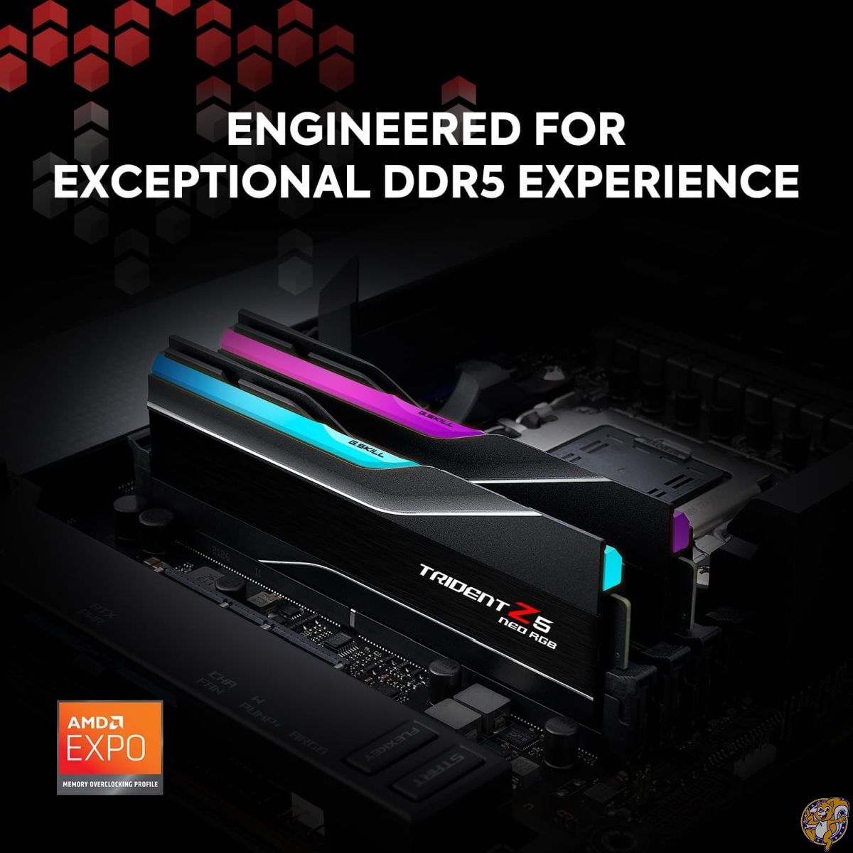 楽天市場】【ポイント2倍ワンダフルデー】G.Skill Trident Z5 NEO RGB
