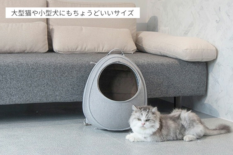 楽天市場】【豪華特典有】EGGY リュック型猫ハウス 背負えるペット