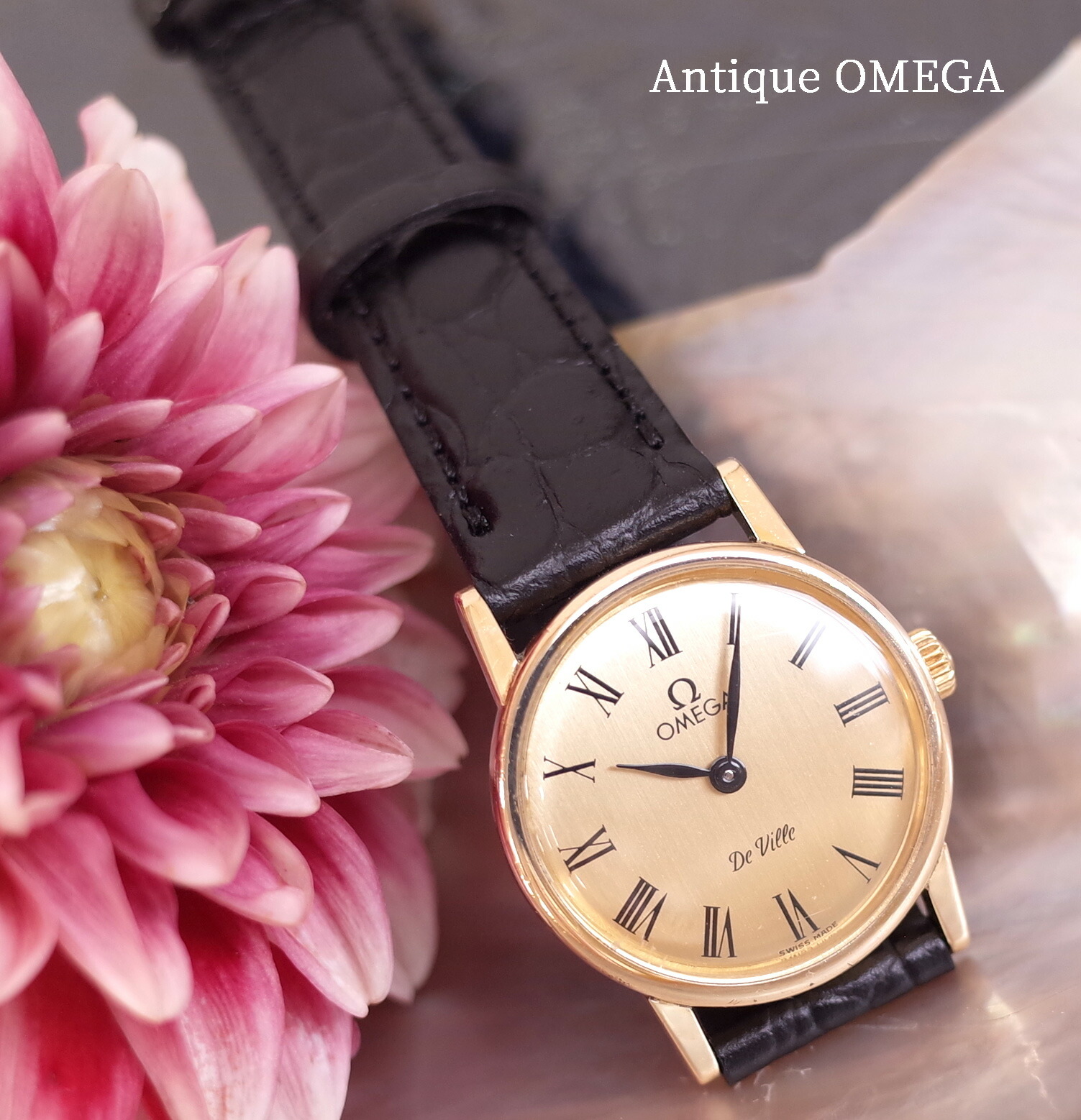 楽天市場】オメガ デビル 80's ラウンド 筆記体ロゴ SS/GF ローマン