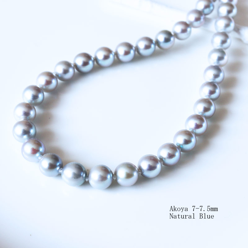楽天市場】【アコヤ真珠 無調色】【7-7.5mm】【ナチュラルブルー