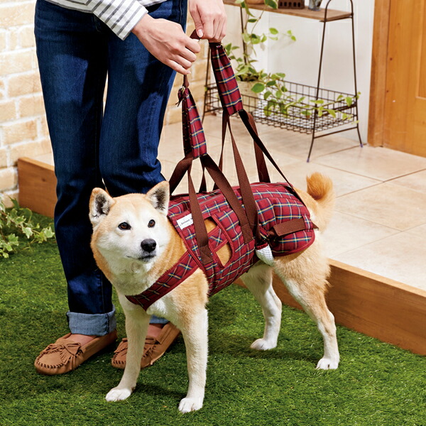 楽天市場】アシスタントバンド リフト 着丈37×バスト55・60×ウエスト53