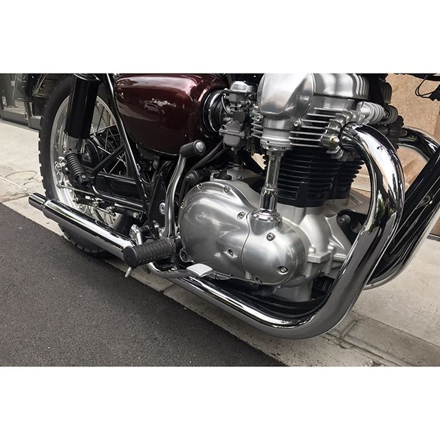 楽天市場】ボートラップ W650/W400 シガーサイレンサーキット エキパイ