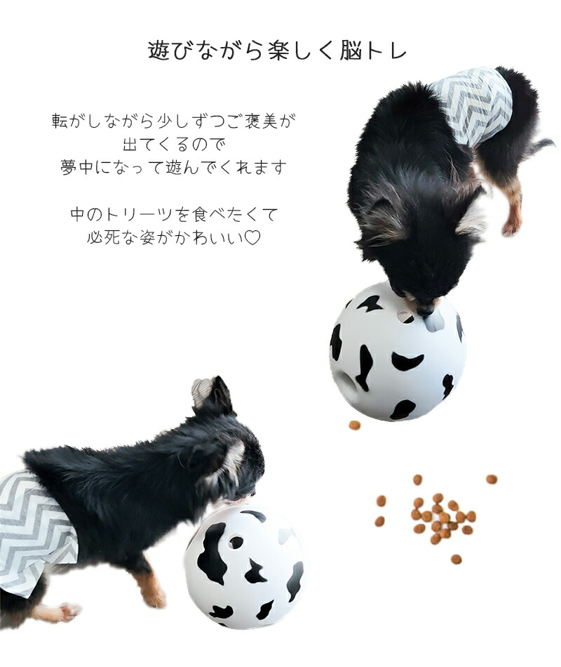 楽天市場】【楽天SS限定10%OFF&P5倍】犬 おもちゃ ボール トリーツ