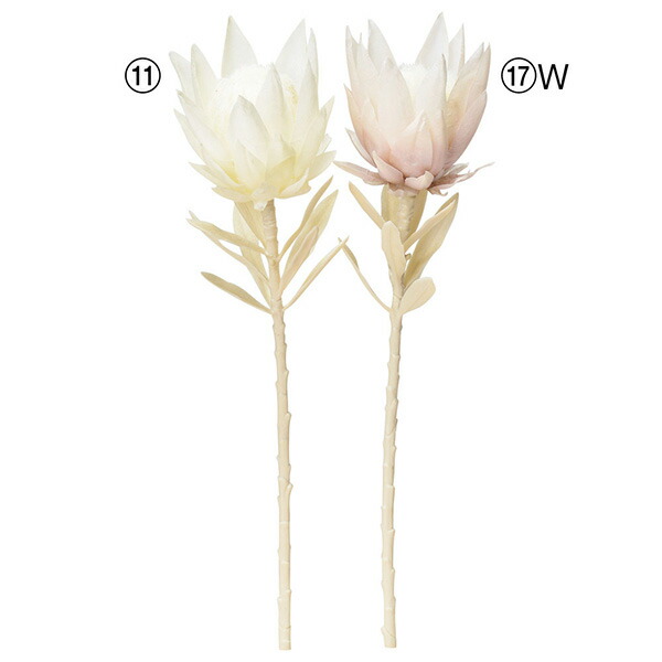 ⭐︎ほっぷページです⭐︎ プロテアホワイトの壁掛けオブジェ 80