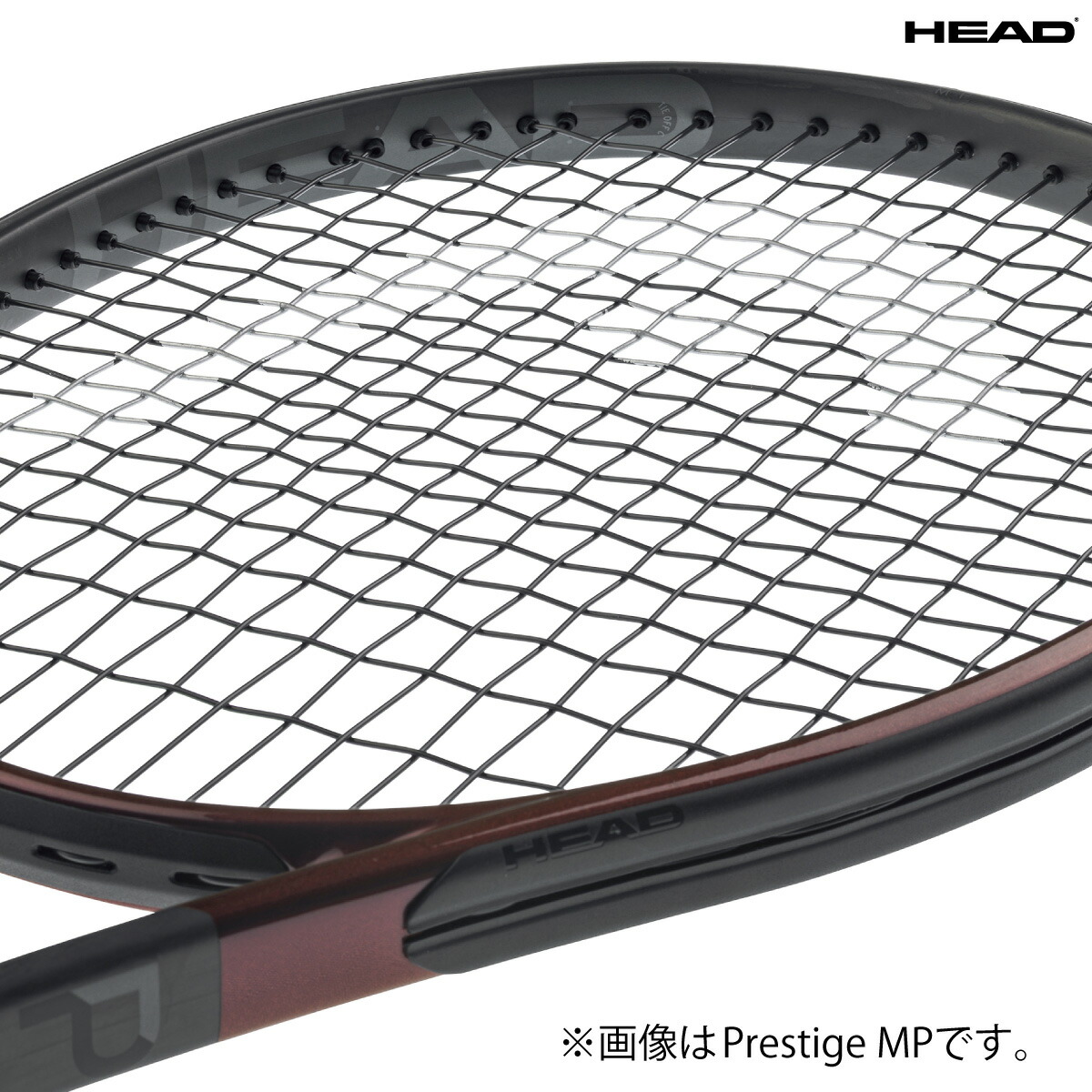 楽天市場】HEAD プレステージMPL 2023 PRESTIGE MPL ヘッド 236133