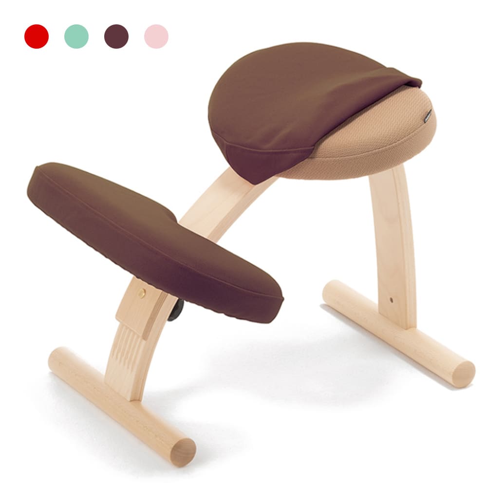 rybo リボ社 バランスイージー カバー付き 姿勢矯正チェア 旧モデル