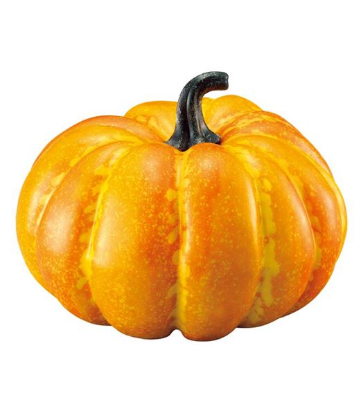 楽天市場】200mm パンプキン [ONSDIFV7997] |フェイクフード 食品