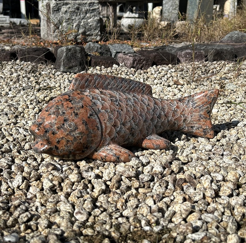 楽天市場】御影石 鯉 紅色 錦鯉 魚 影彫 置物 置き物 玄関