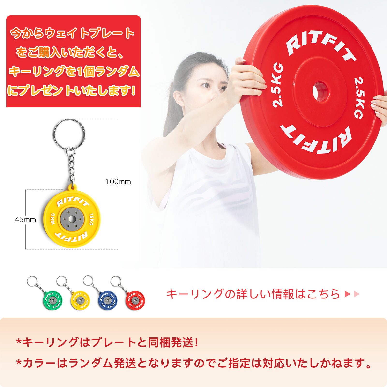 楽天市場】RITFIT PEテックニックプレート テクニカルプレート
