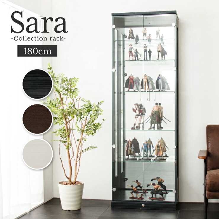 楽天市場】コレクションケース（高さ（cm）160 ～ 169.9