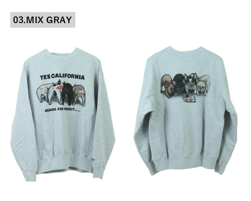 楽天市場】tes エンドレスサマー tes スウェット The Endless Summer