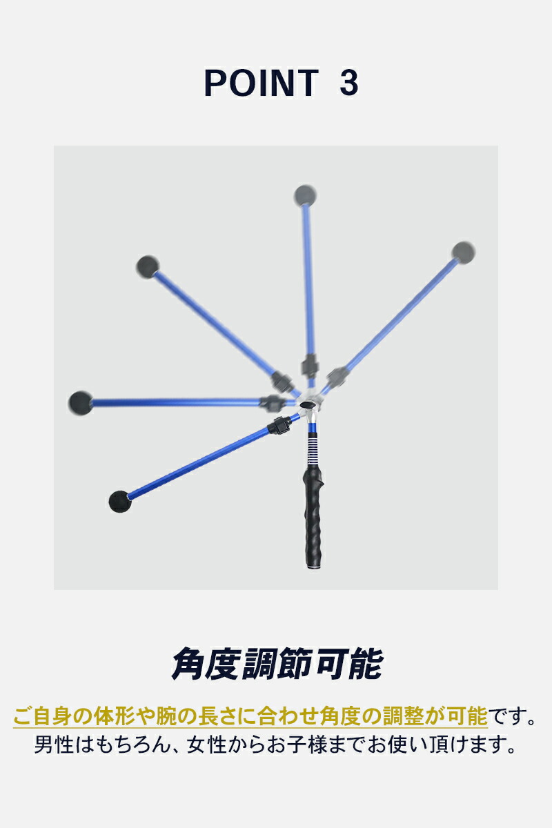 即発送！ゴルフ3Dswing mentor 同機能品 3D Swing Pro 即発送 ゴルフ