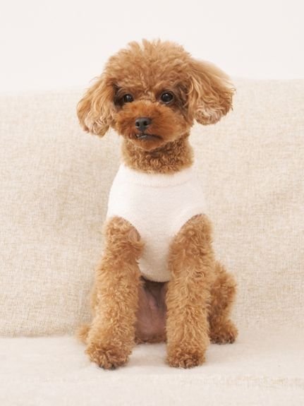 gelato pique｜【CAT&DOG】スムーズィートイプードル柄ジャガードプル