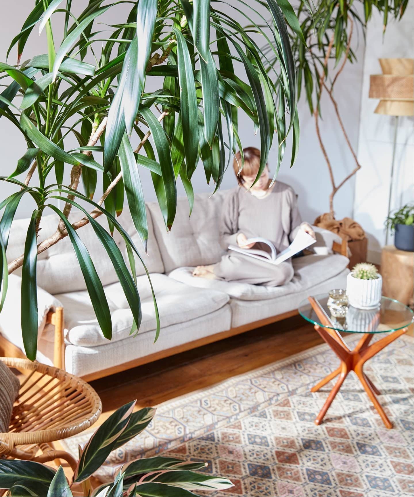 GLENOAKS ラグ 120×160 ジャーナルスタンダード GLENOAKS ラグ 120×160