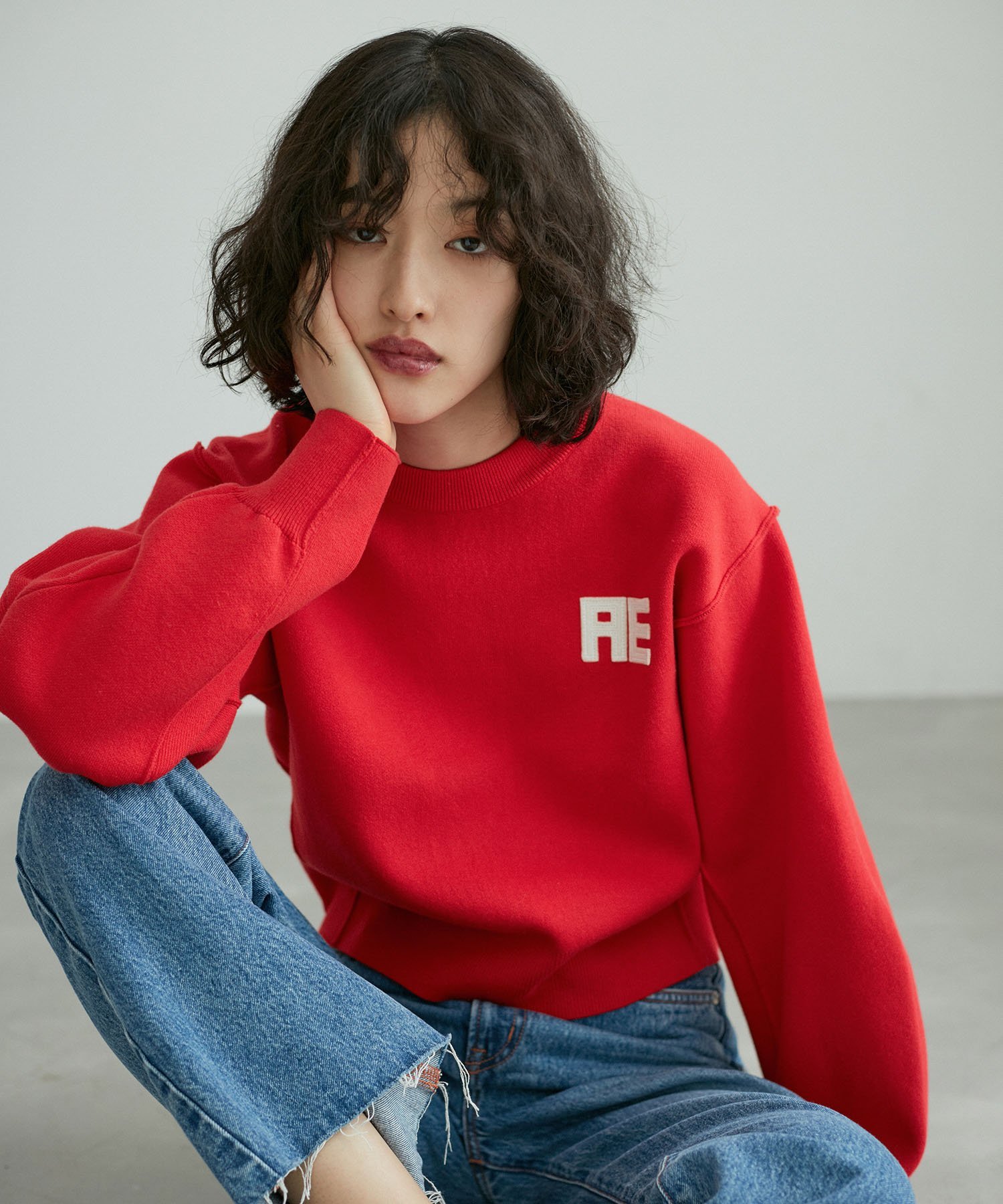 ADAM ET ROPE'｜【サステナブル・洗える】フェルト刺しゅうニットプル