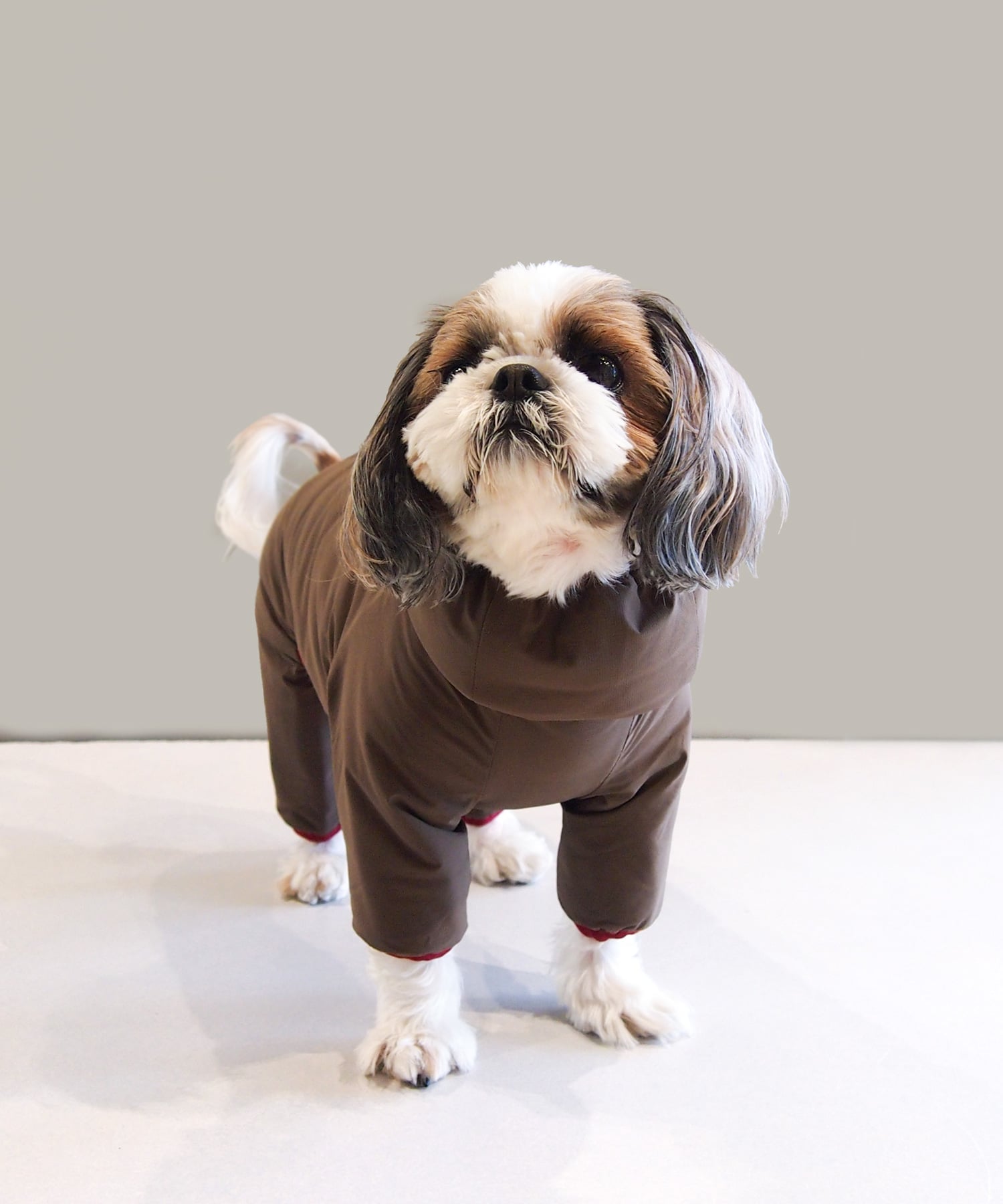 Snow Peak｜Dog Winter Guard | Rakuten Fashion(楽天ファッション／旧