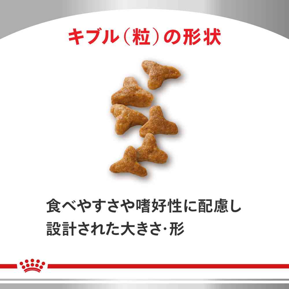 楽天市場】猫用 消化器サポート(可溶性繊維)2kgx1【ロイヤルカナン食事