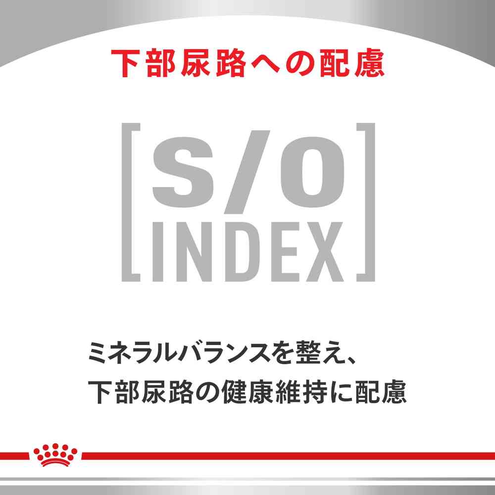 楽天市場】猫用 消化器サポート(可溶性繊維)2kgx1【ロイヤルカナン食事