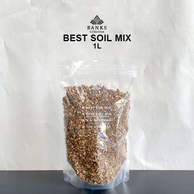 楽天市場】best soil mix 【1L】 ベストソイルミックス 虫がわきにくい