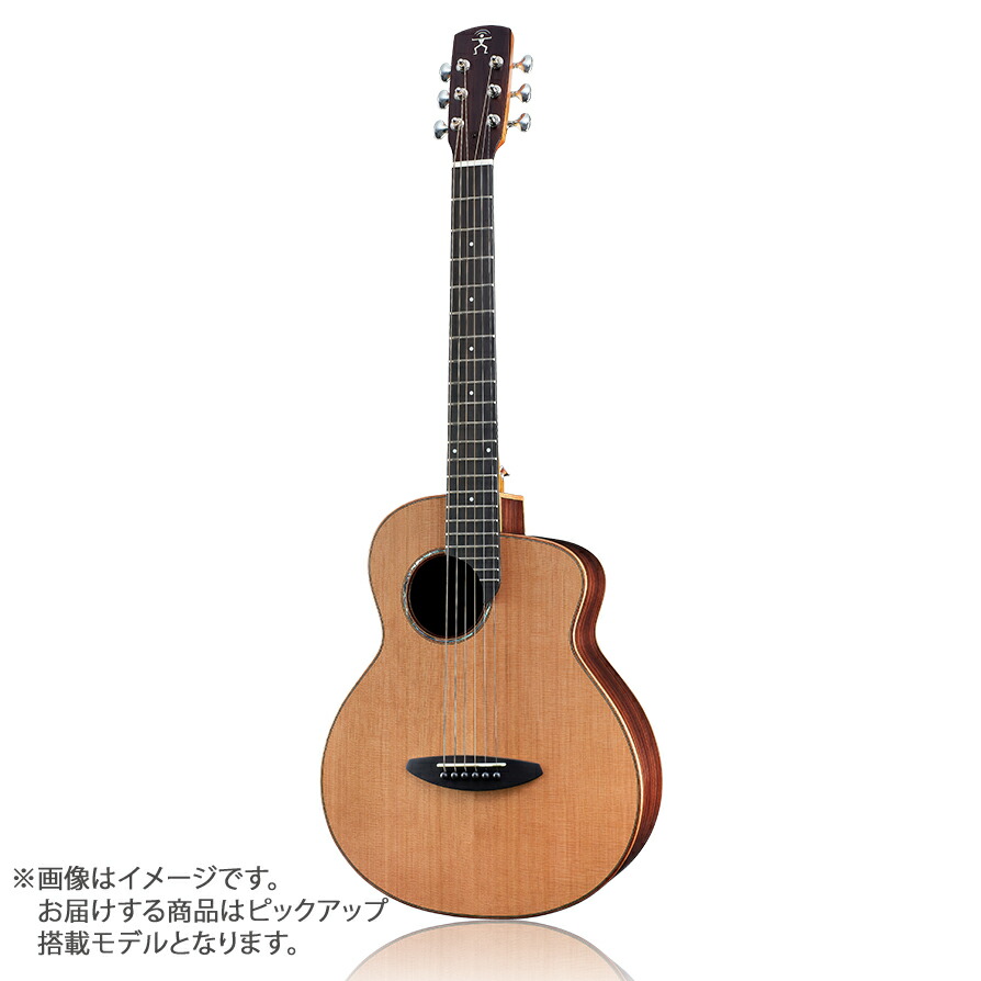 楽天市場】anuenue bird guitar ann－m2の通販
