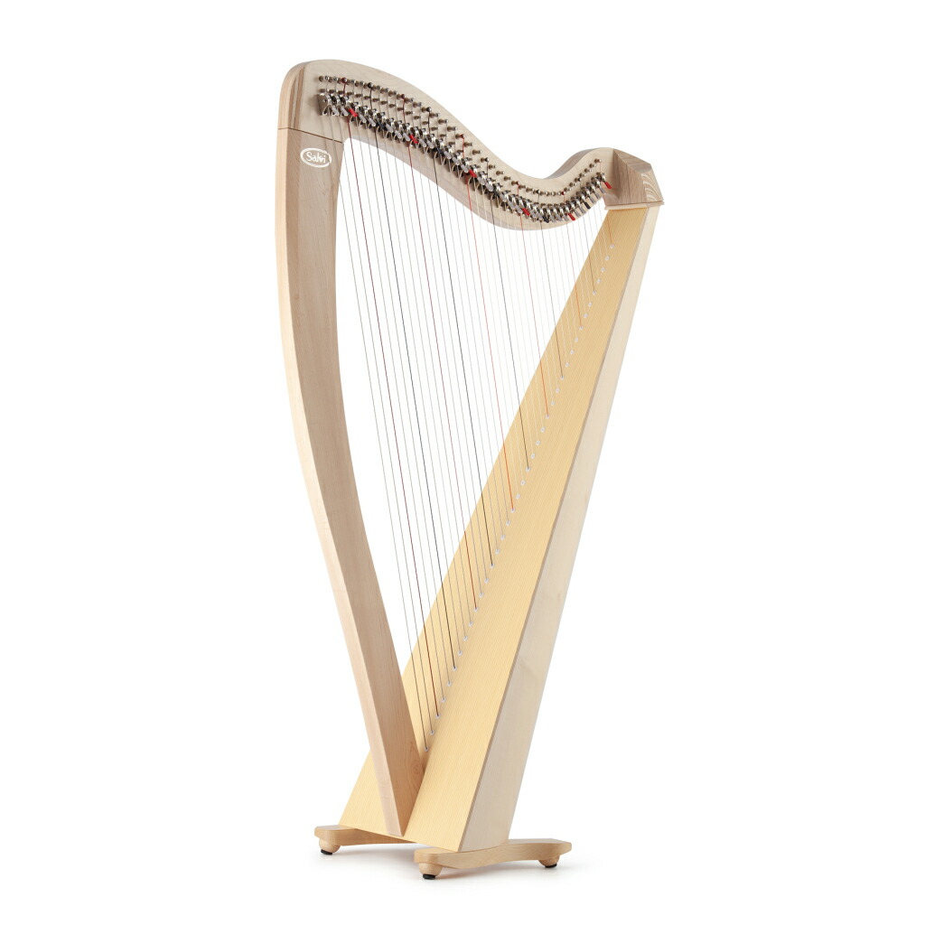 ハープ 楽器」の人気商品一覧 | 安い商品を通販サイトから探す - 価格.com