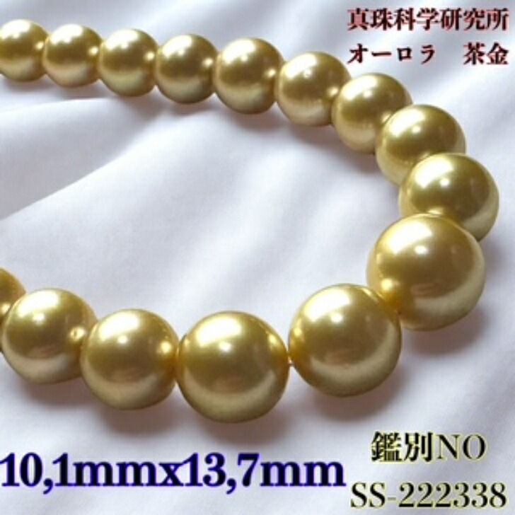 楽天市場】動画で比較【真珠科学研究所オーロラ茶金10.1mmx13.7mm