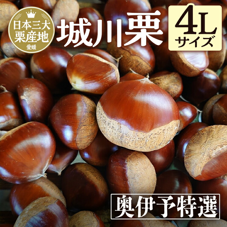 楽天市場】販売終了【4L最安1kg3420円〜】 9/30終了 愛媛県城川町産生