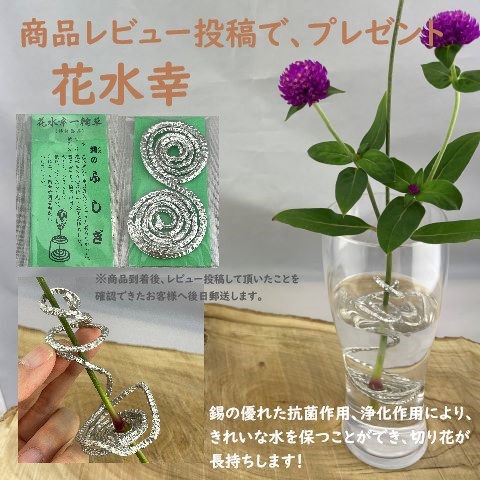 楽天市場】【日本製】喜多庄兵衛作 高岡 鉄製 燗鍋 三日月 蓋二枚付