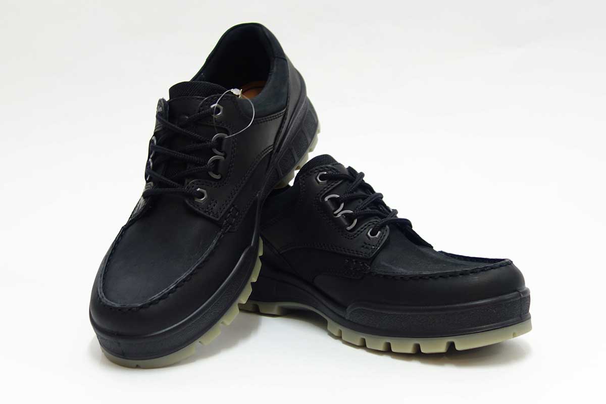 楽天市場】エコー ECCO TRACK 25 MENS LOWCUT GTX 831714 ブラック