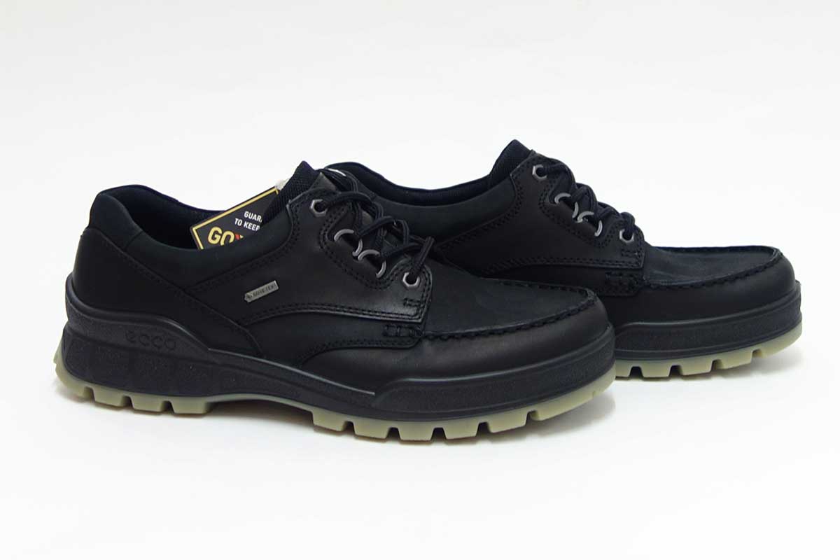 楽天市場】エコー ECCO TRACK 25 MENS LOWCUT GTX 831714 ブラック