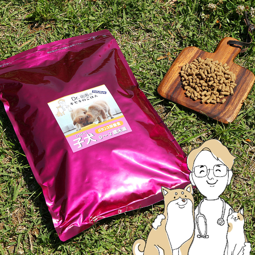 楽天市場】DailyStyle プレミアムドックフード 子犬用（0～2歳未満