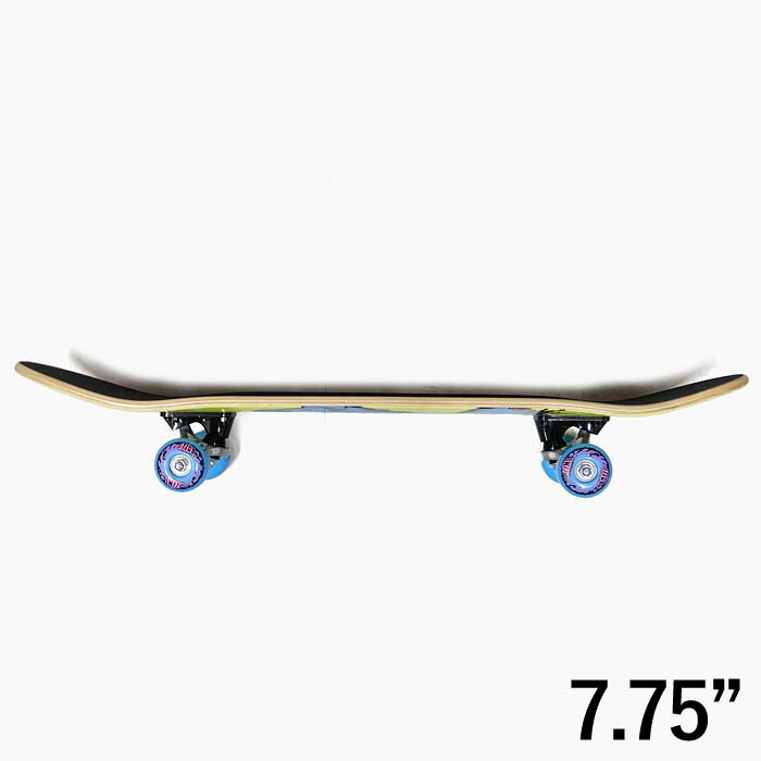 楽天市場】【スケボー コンプリート 7.75 7.8 8.0 8.25】SANTA CRUZ
