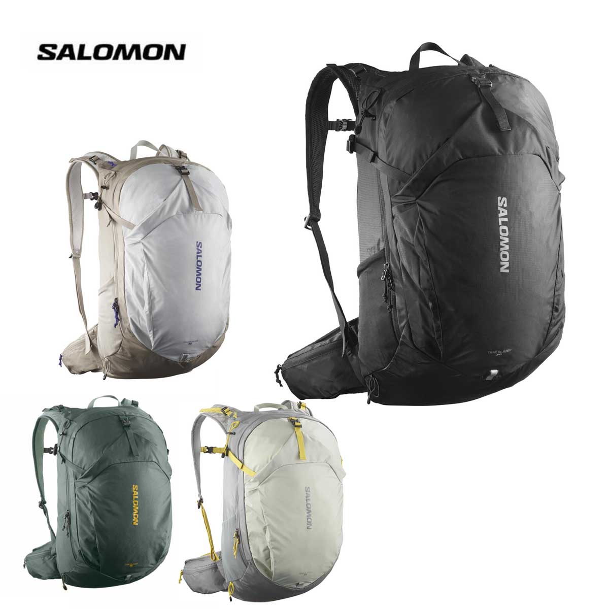 楽天市場】SALOMON サロモン バッグ・ケース バッグパック メンズ