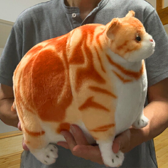 楽天市場】ふとっちぃZoo にゃんこ アメリカンショートヘアレッド