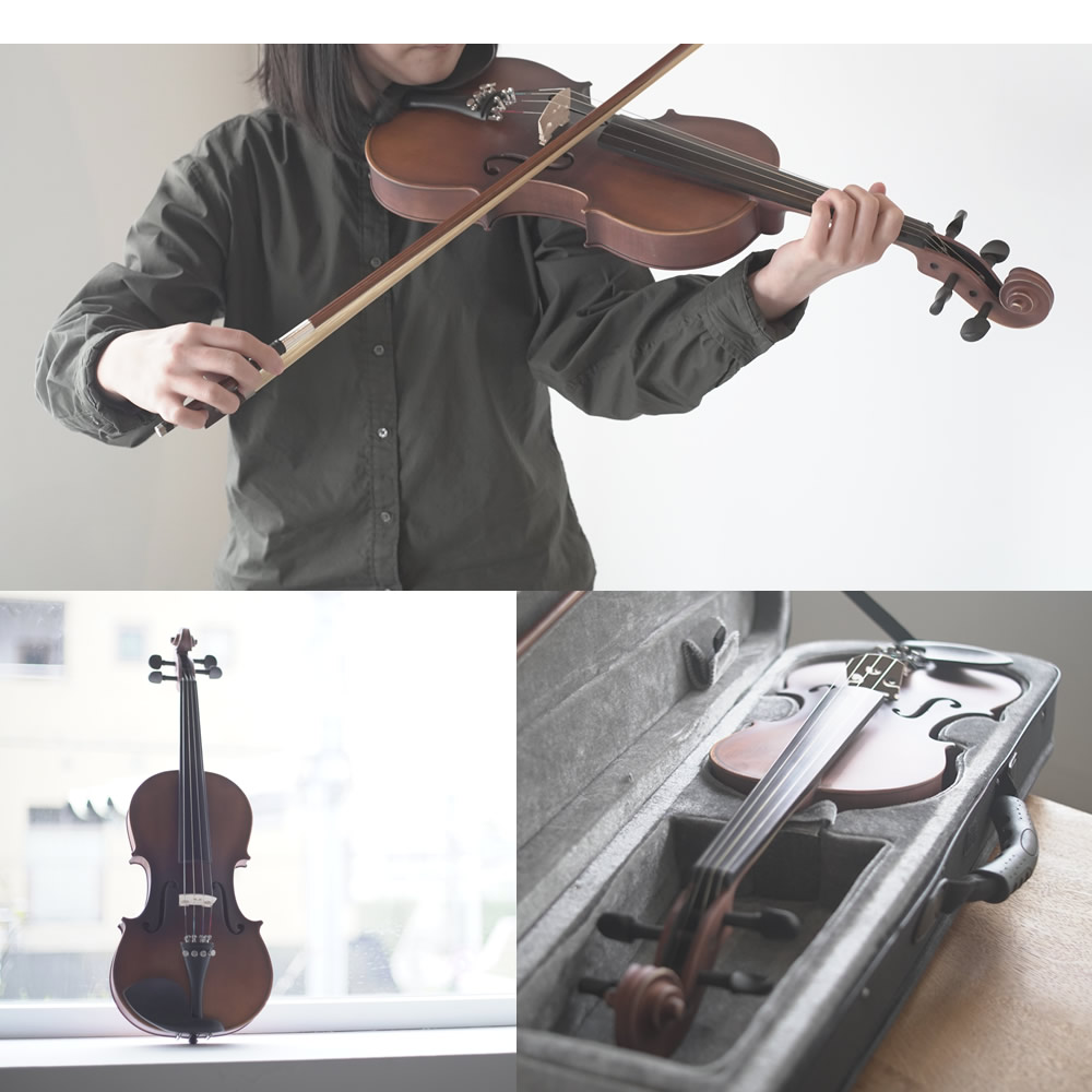 楽天市場】バイオリン 初心者セット Hallstatt V-12 4/4サイズ