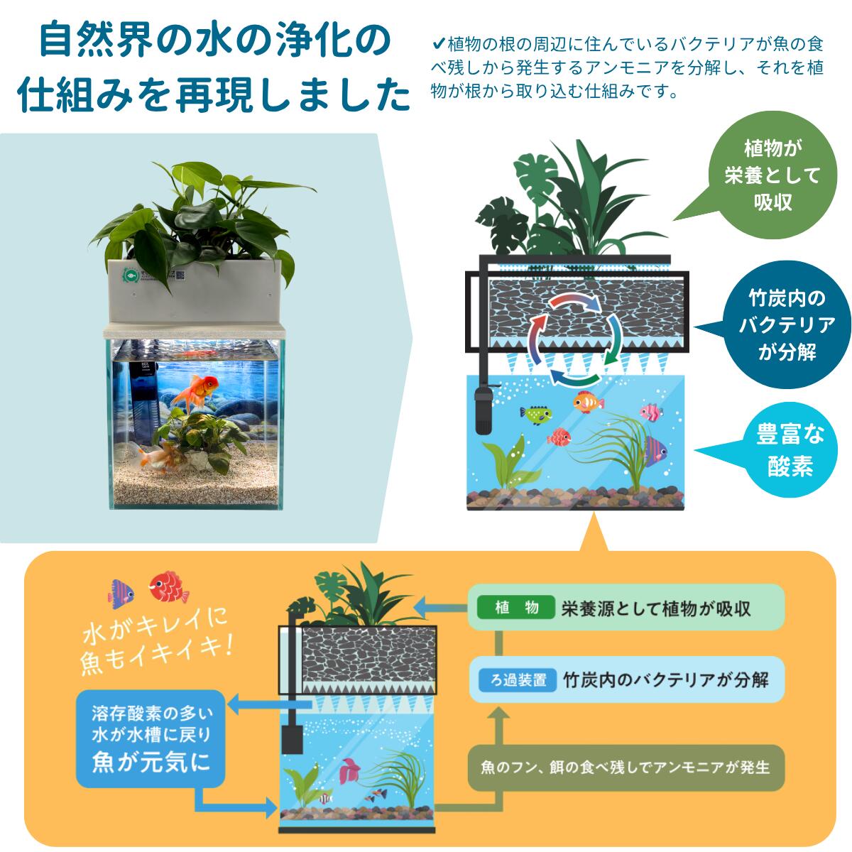 楽天市場】【TVで紹介されました】水換え不要 水槽セット せせらぎ