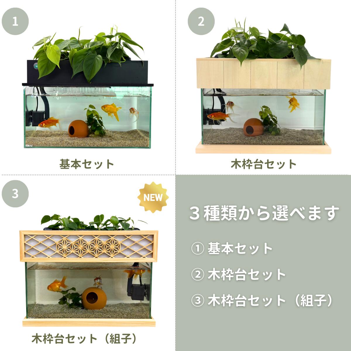 楽天市場】【TVで紹介されました】水換え不要 水槽セット せせらぎ