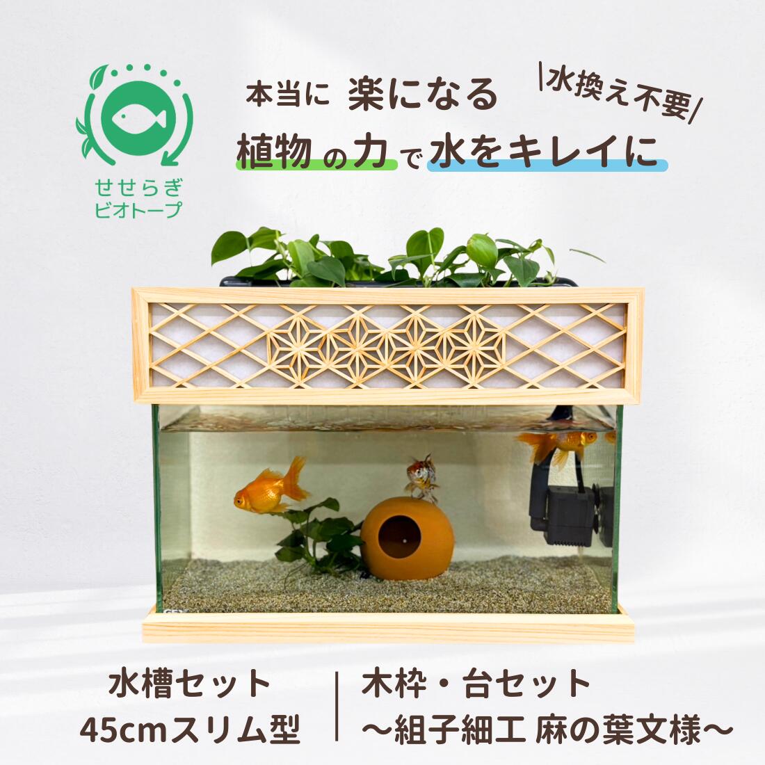 せせらぎビオトープ」の人気商品一覧 | 安い商品を通販サイトから探す