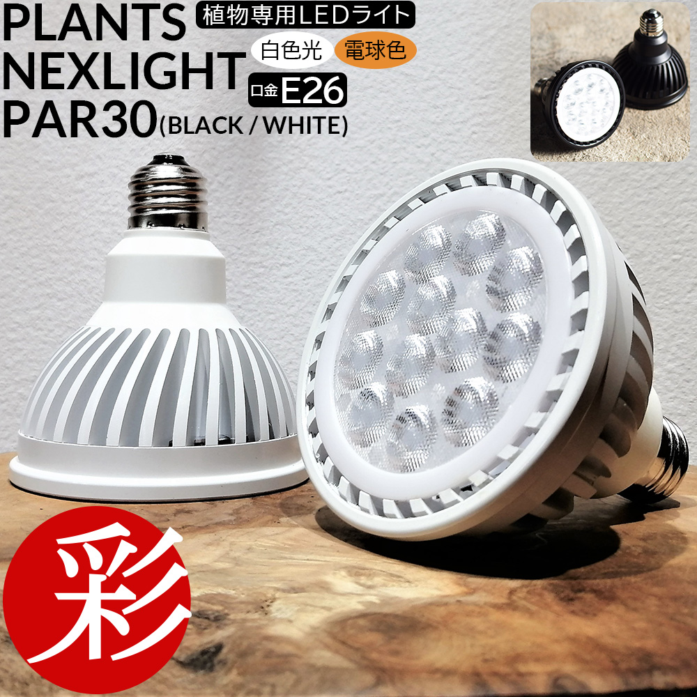 楽天市場】観葉植物用育成ライト PLANTS NEXLIGHT PAR30 LED電球 E26