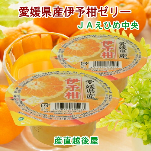 楽天市場】愛媛県の農協 JAえひめ中央 愛媛の果実 伊予柑カップゼリー