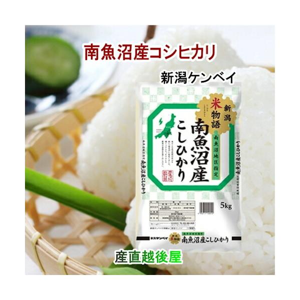 信州産コシヒカリ10㎏(精米済・令和6年収獲) タケノコご飯用筍3本付き