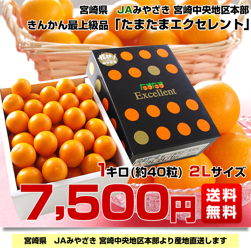 楽天市場】宮崎県から産地直送 JAみやざき宮崎中央地区本部 たまたま