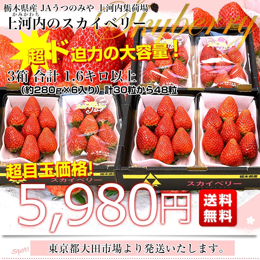 楽天市場 | 産直だより - 鮮度抜群のいちごがメガ盛り！！お得な大容量